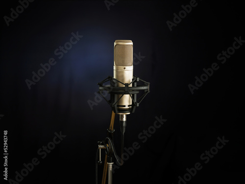 The Golden Microphone photo