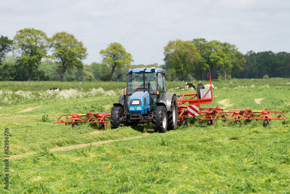 Naklejka premium Heu wenden