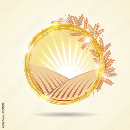 Abstract vector illustration of a wheat field at sunset