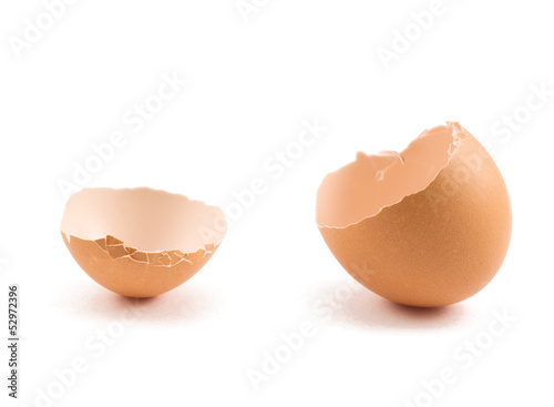 Egg shell cracked in two parts