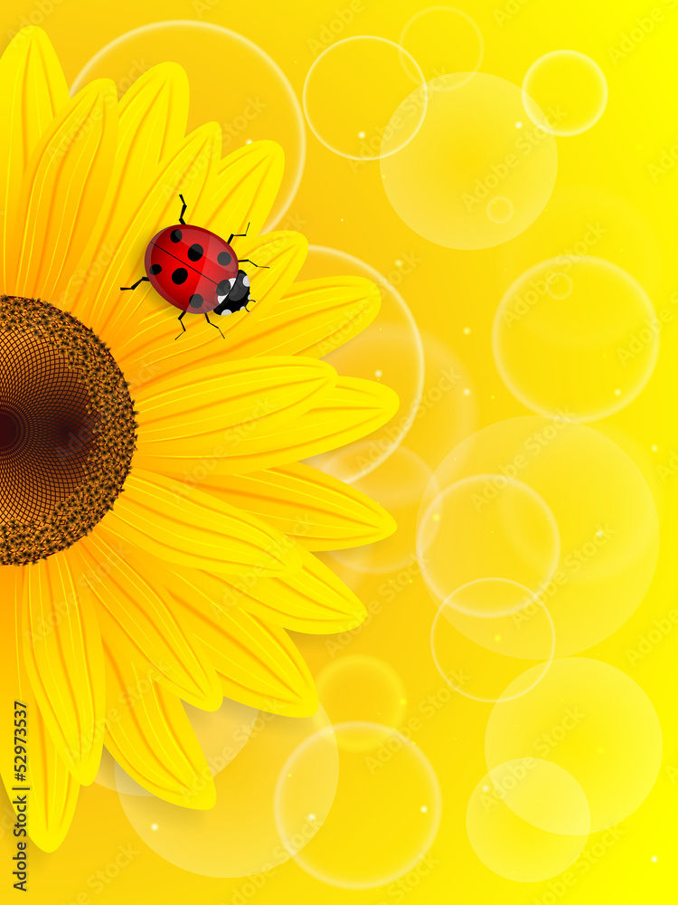 Fototapeta premium Sunflower and ladybird on yellow background.