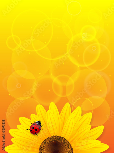 Fototapeta Naklejka Na Ścianę i Meble -  Sunflower and ladybird on yellow background.