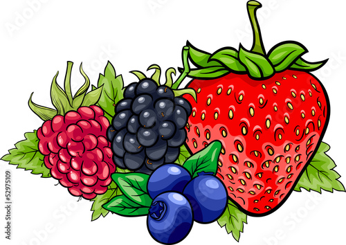 Fototapeta Naklejka Na Ścianę i Meble -  berry fruits cartoon illustration
