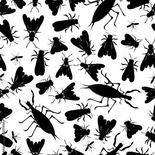 Insect seamless pattern © Richard Laschon