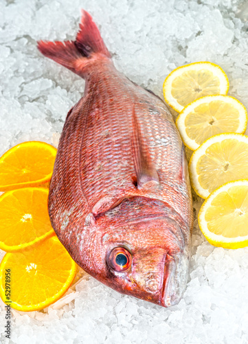 Foto Seafood on ice at the fish market