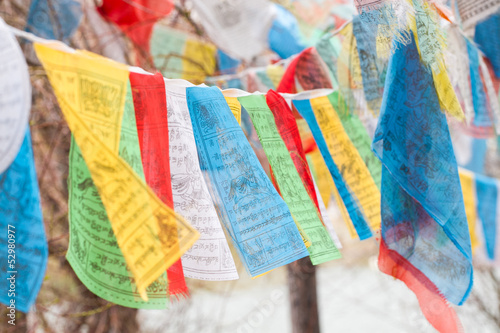 Fotografia Tibet flags
