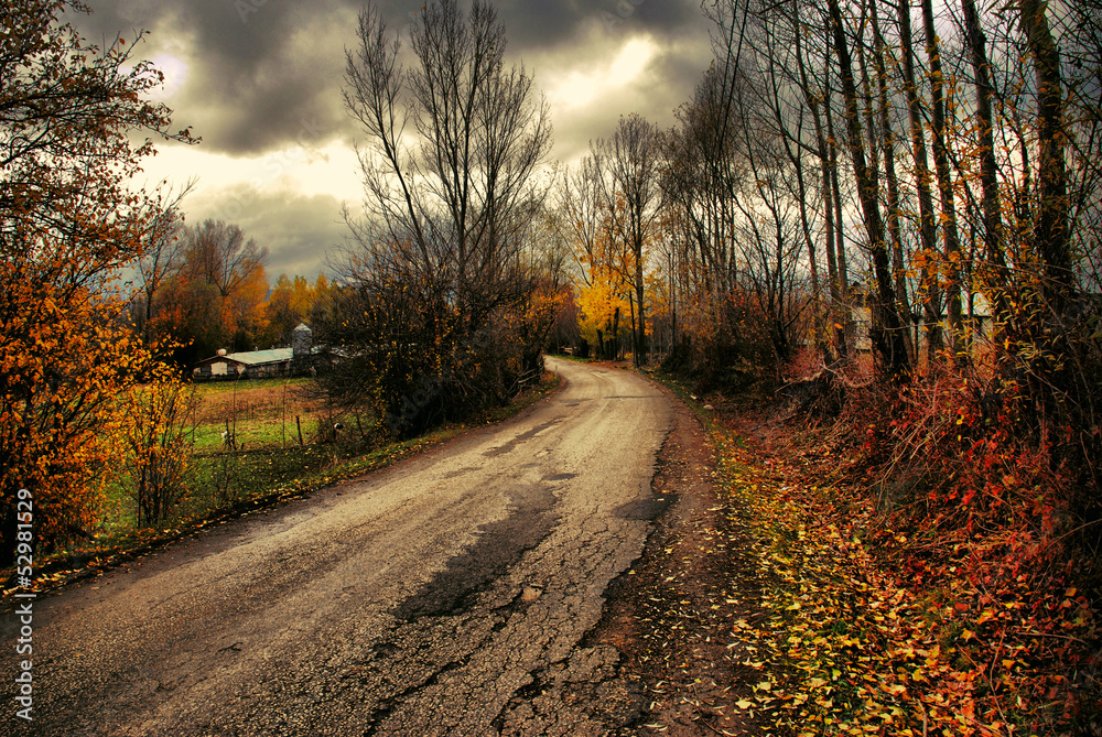 Obraz premium landscape