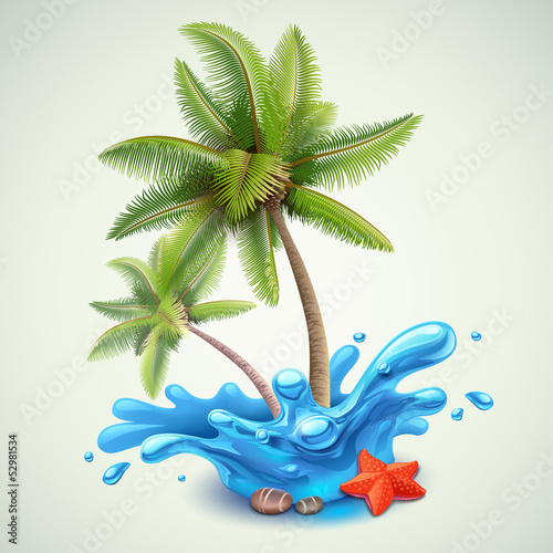 Water splash with palms