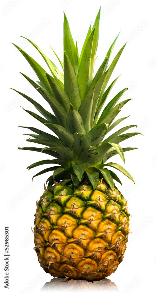 ripe pineapple ripe pineapple