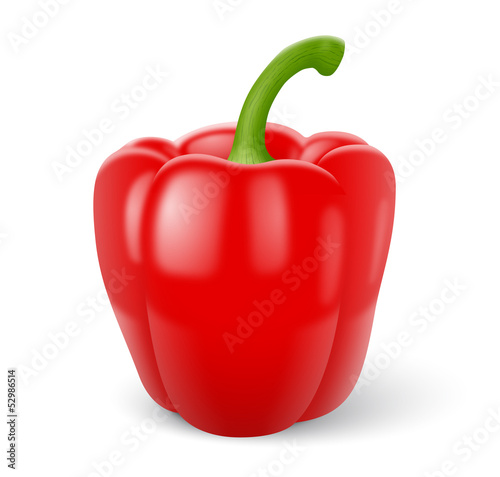 Poivron vectoriel 1