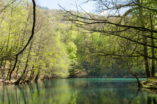 Lake and Forest in Bolu