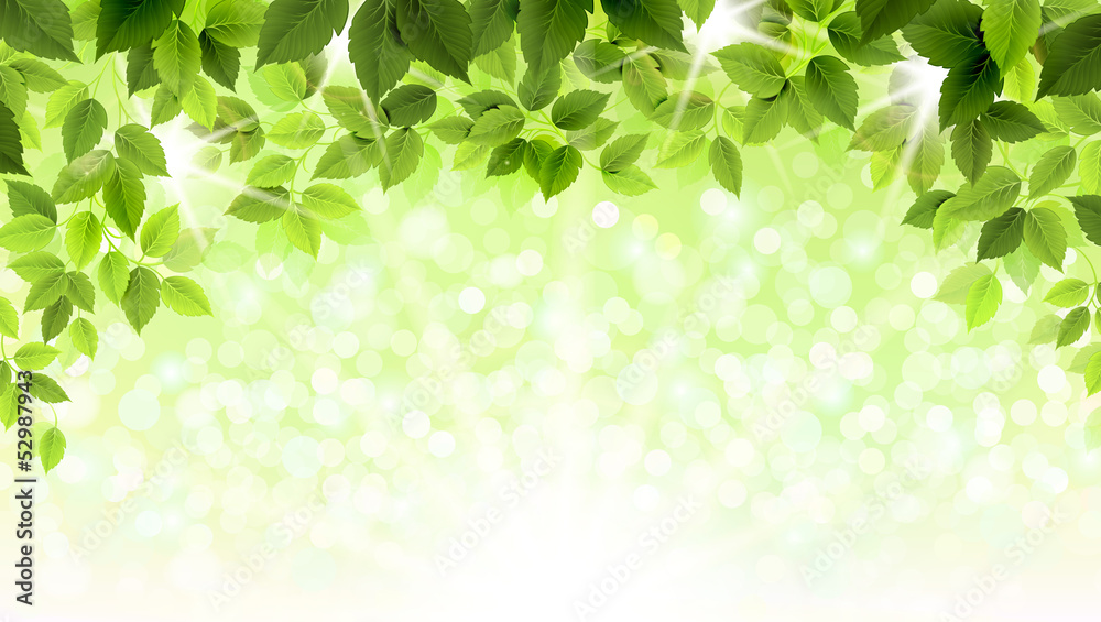 Naklejka premium Summer branch with fresh green leaves