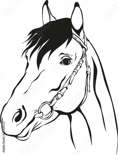 horse with bridle