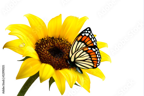 Fototapeta Naklejka Na Ścianę i Meble -  Nature summer sunflower with butterfly. Vector illustration.