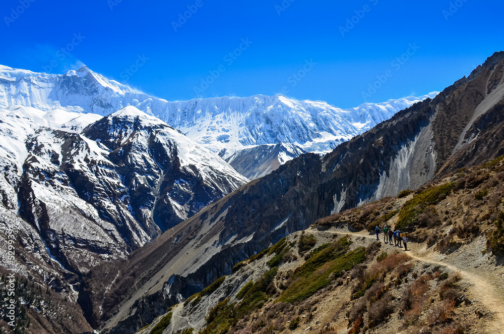 Group of mountain trekkers backpacking in Himalayas landscape