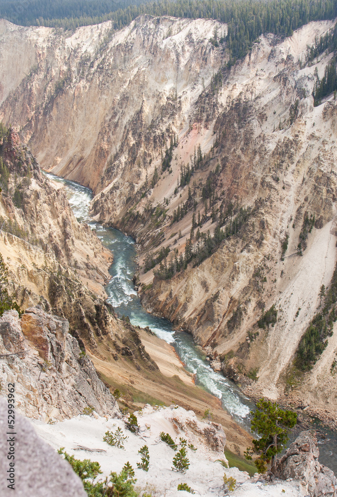 Fototapeta premium Gand Canyon at Yellowstone
