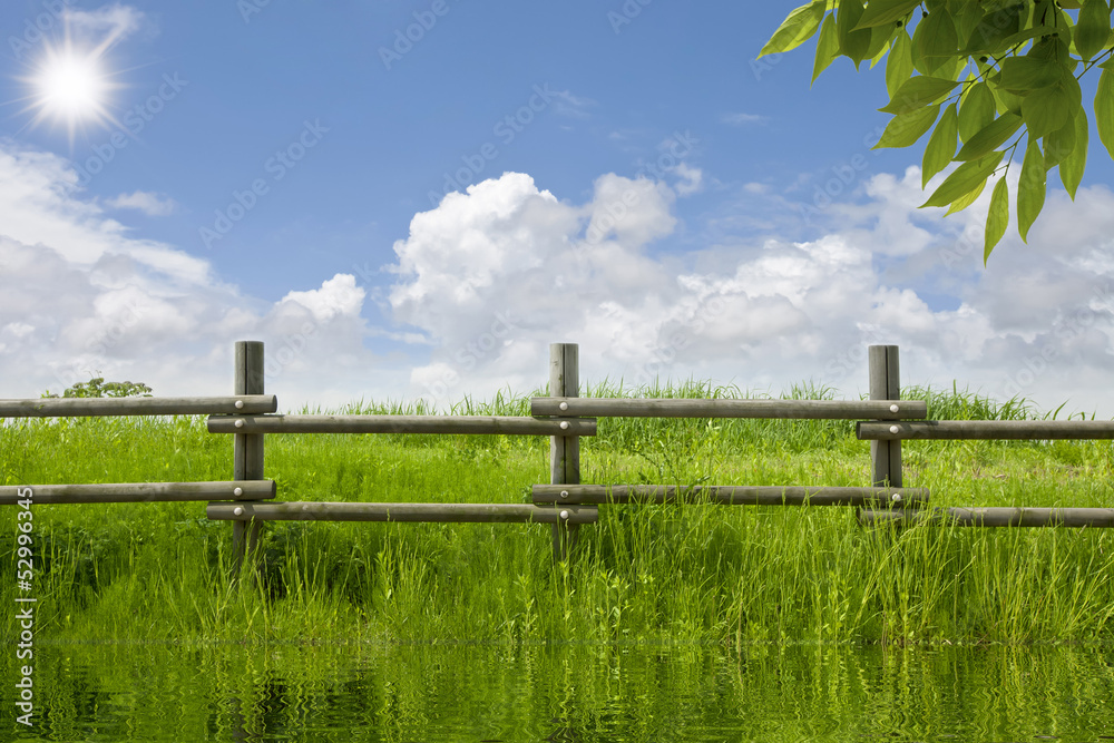 summer landscape summer landscape