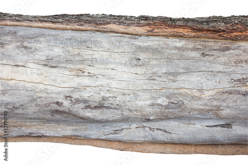 .wood cross section, backgrounds bark and wood texture on white