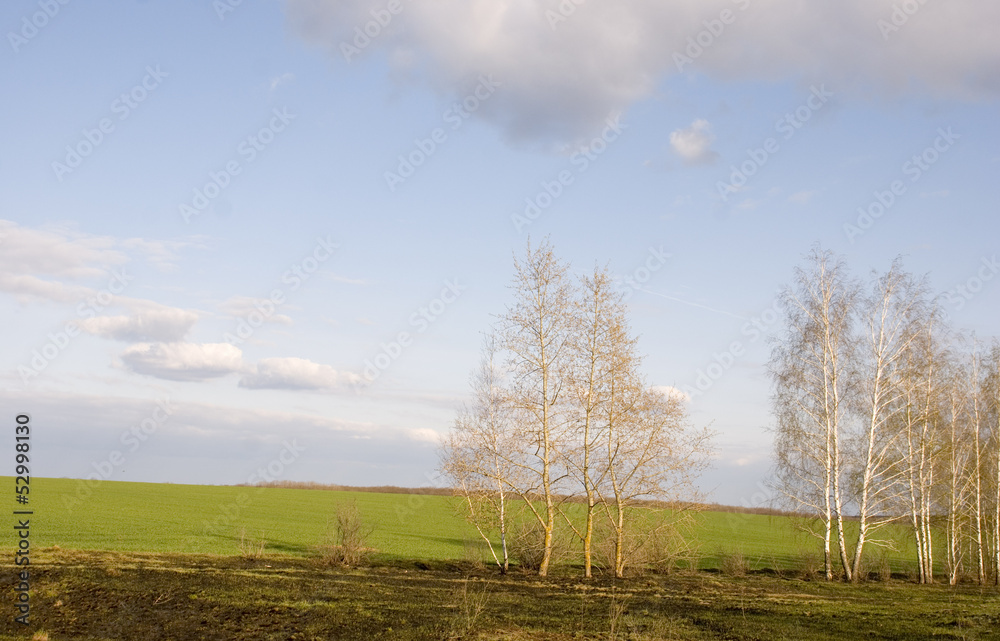 Obraz premium пейзаж