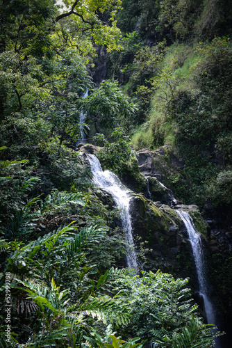 Canvastavla Waterfall in Maui Hawaii on the Road to Hana