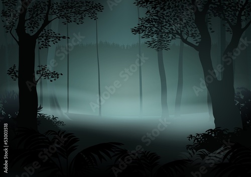 Dark Forest
