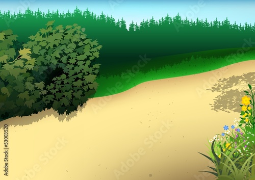 Summer Landscape