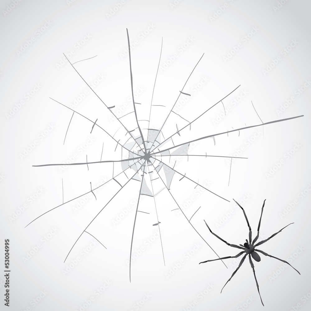 broken glass cracks and spider