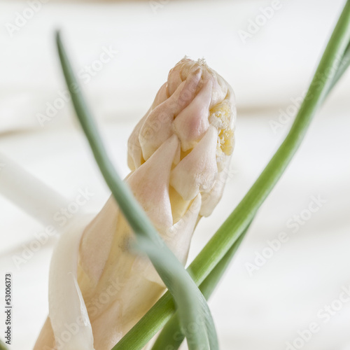 prepariing raw, peeled asparagus photo