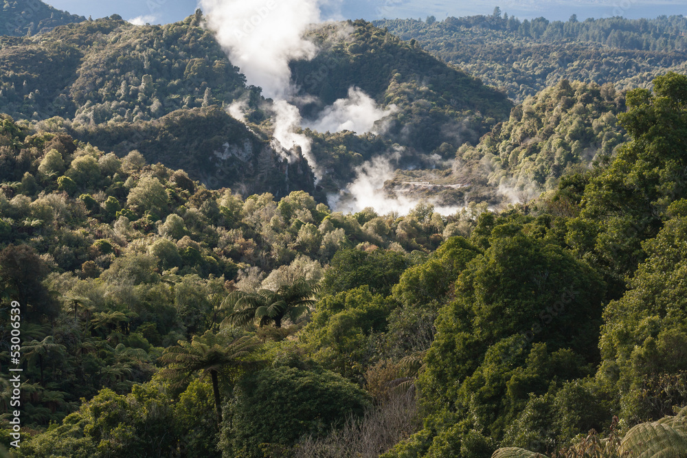thermal valley in Rotorua