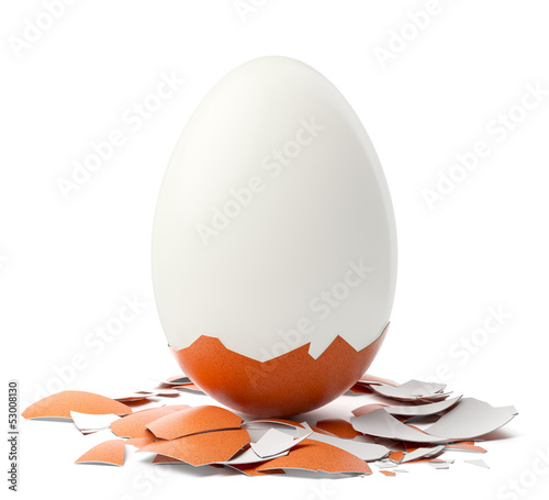 Cracked brown egg. Studio shot