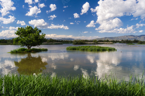Vista del Aguait de les Gantes. Aiguamolls de l'Emporda.