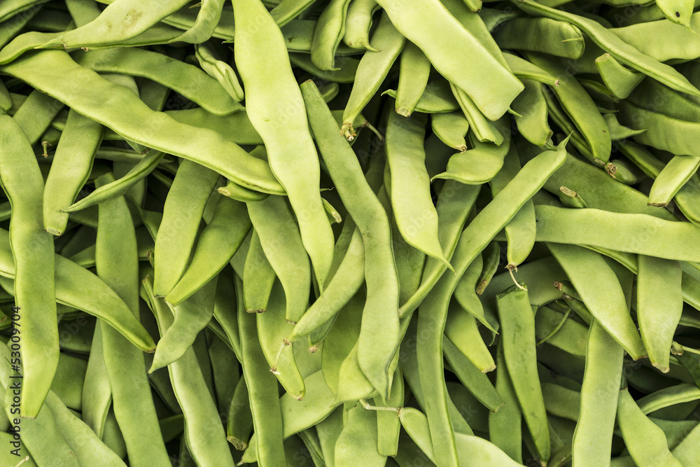 Fototapeta premium Green beans