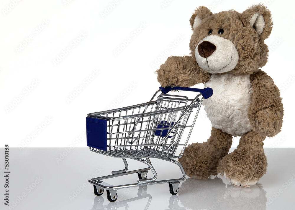 Teddy mit Einkaufswagen Teddy mit Einkaufswagen