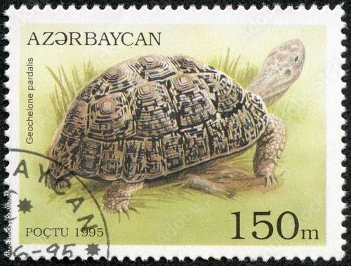 stamp printed in Azerbaijan shows a Leopard Tortoise