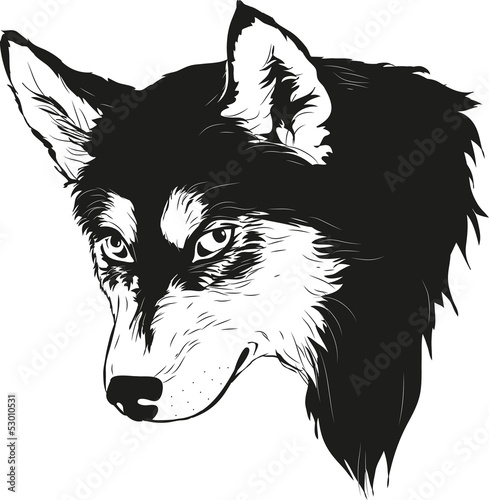 Husky