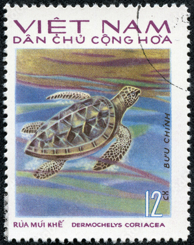 stamp printed in Vietnam shows animal Turtle