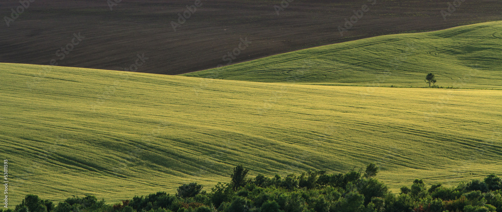 Eastearn European countryside and evening light in summer