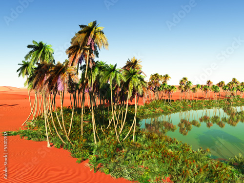 Beautiful natural background - African oasis