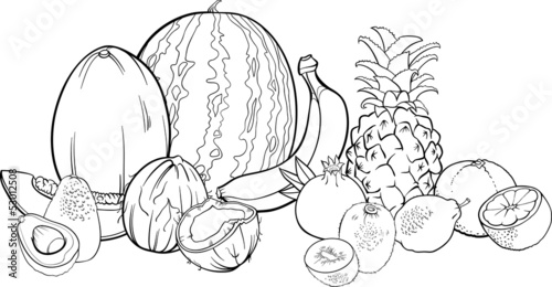 tropical fruits illustration for coloring book