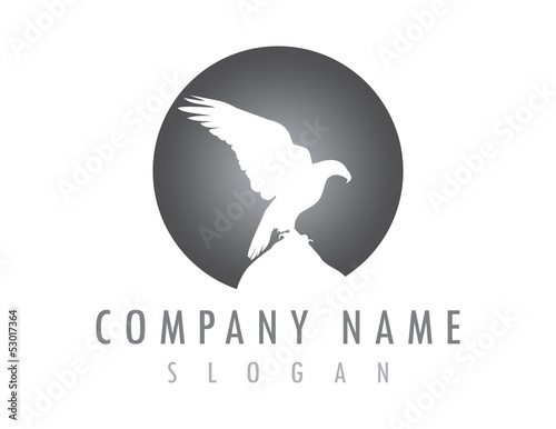 eagle moon design