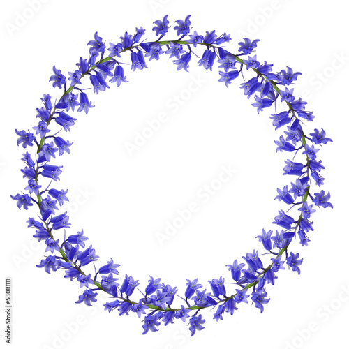 Circle frame of blue wild flowers