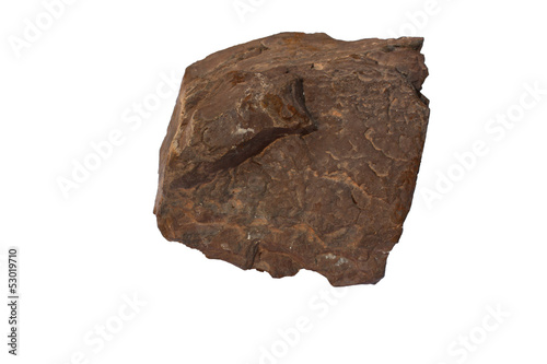 Umber photo