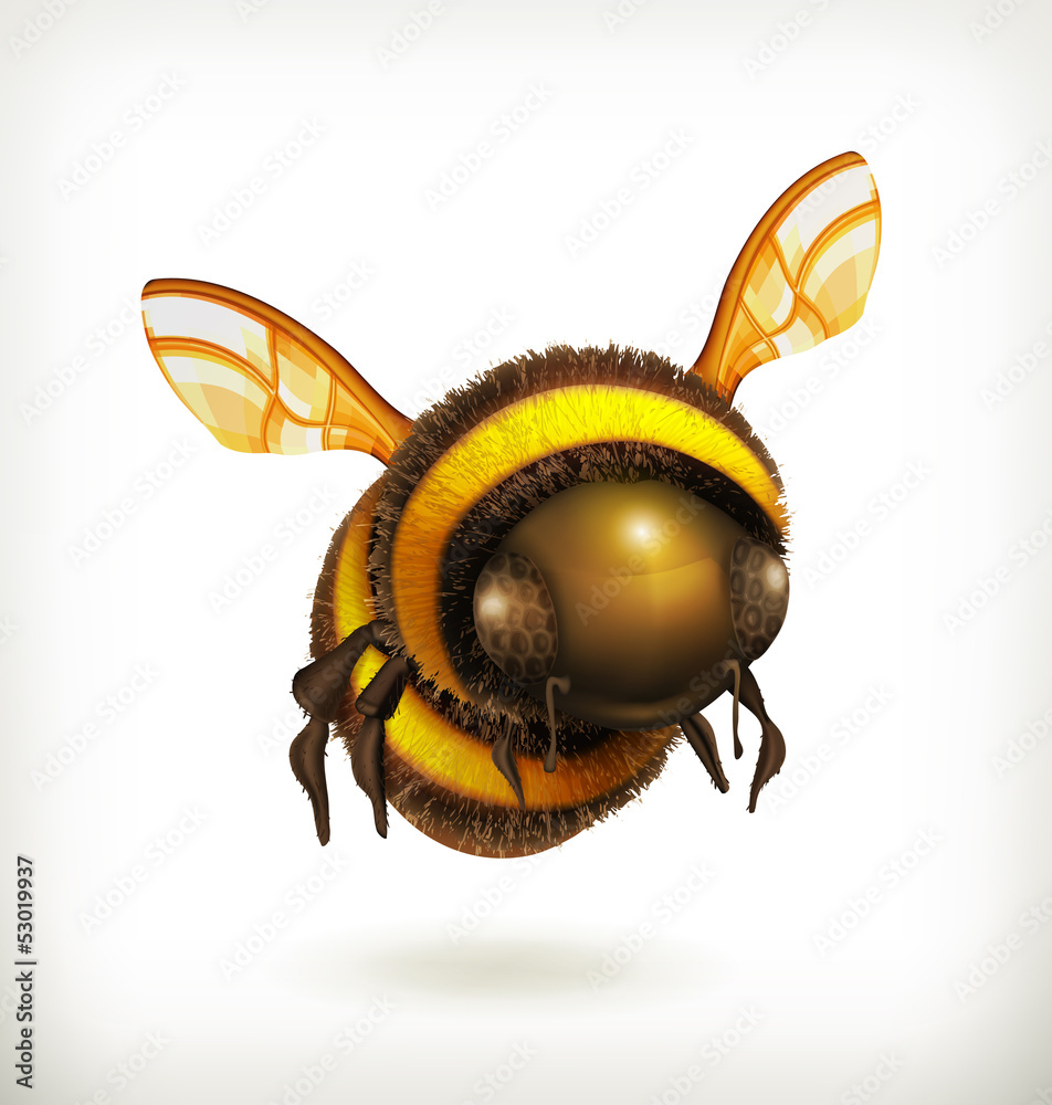 Bee icon - obrazy, fototapety, plakaty 