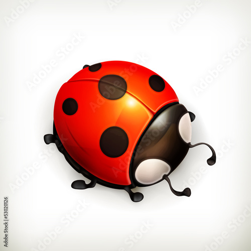 Ladybug icon