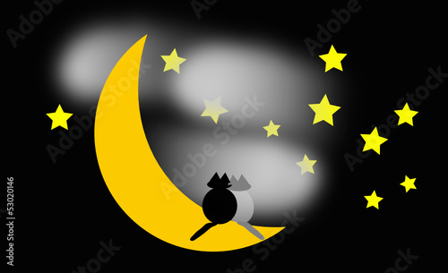 gatti su luna