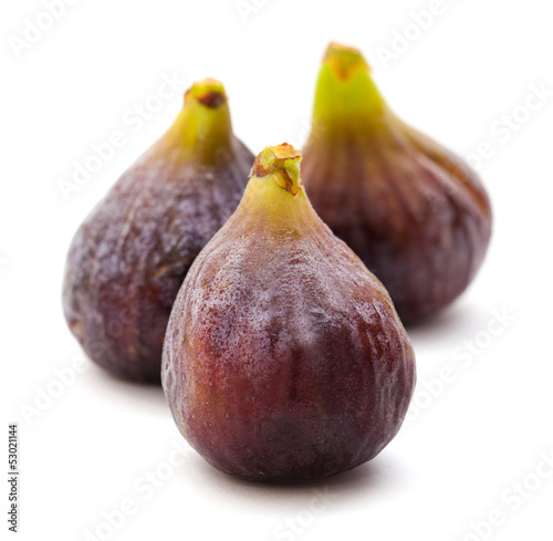 figs isolated