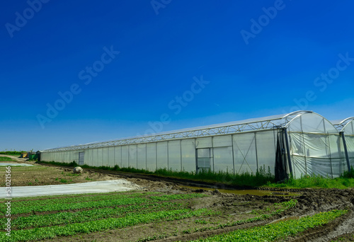 greenhouse for growing fruit and vegetables