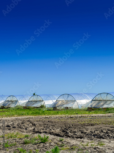 greenhouse for growing fruit and vegetables © GoodPics