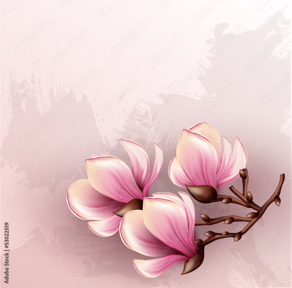 Naklejka premium Magnolia branch watercolor illustration