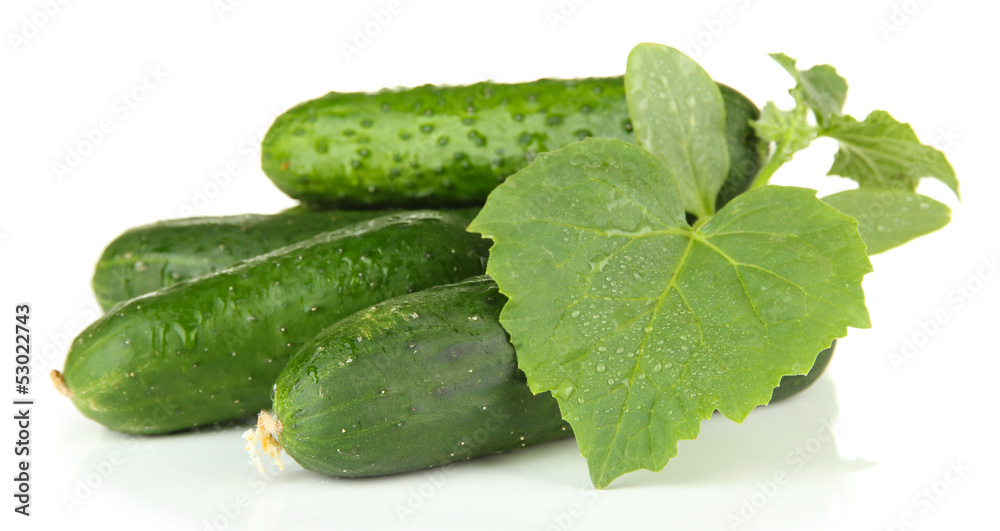 Tasty green cucumbers, isolated on white Tasty green cucumbers, isolated on white